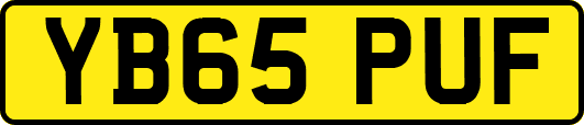 YB65PUF