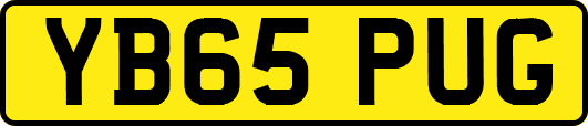 YB65PUG