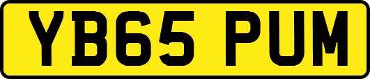 YB65PUM
