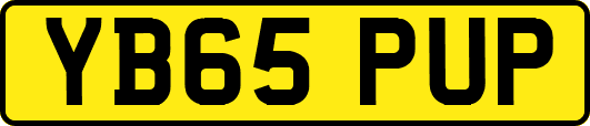 YB65PUP