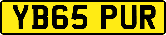 YB65PUR