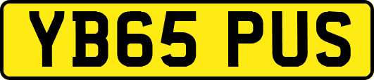 YB65PUS
