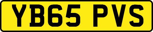 YB65PVS