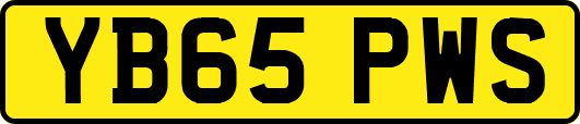 YB65PWS