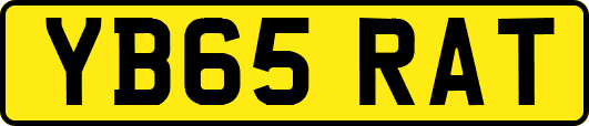 YB65RAT
