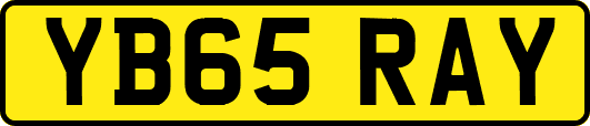 YB65RAY