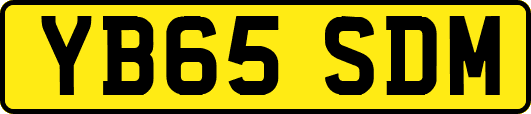 YB65SDM