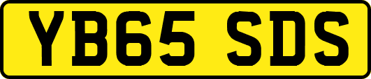 YB65SDS