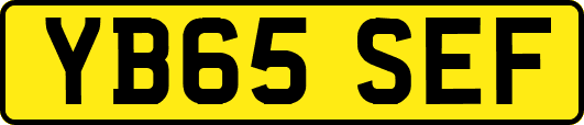 YB65SEF