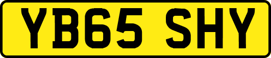 YB65SHY