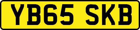 YB65SKB