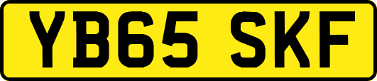 YB65SKF