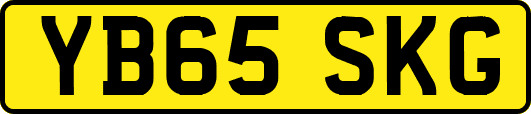 YB65SKG