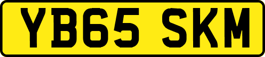YB65SKM