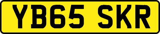 YB65SKR