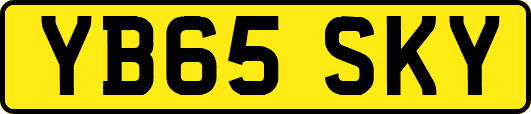 YB65SKY