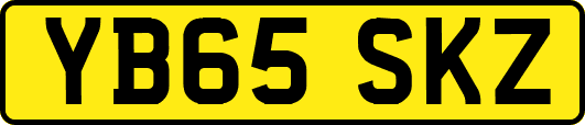 YB65SKZ