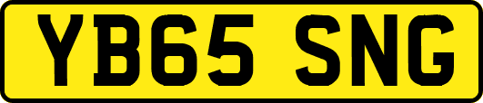 YB65SNG