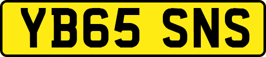 YB65SNS
