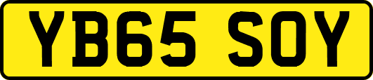 YB65SOY