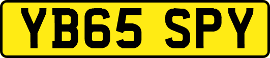 YB65SPY