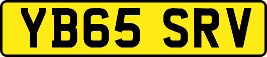 YB65SRV
