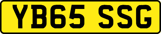 YB65SSG