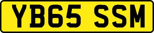 YB65SSM