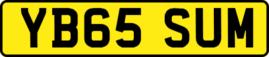 YB65SUM