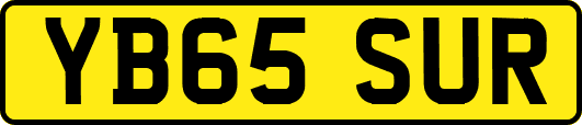 YB65SUR