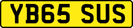 YB65SUS