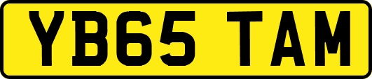 YB65TAM