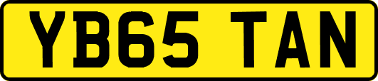 YB65TAN