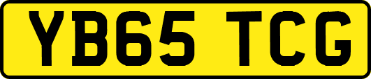 YB65TCG
