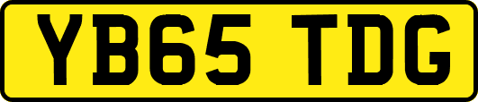 YB65TDG