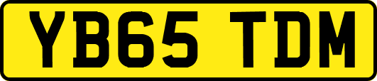 YB65TDM
