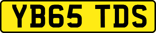 YB65TDS