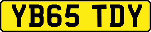 YB65TDY