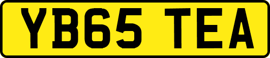 YB65TEA