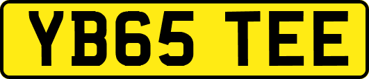 YB65TEE
