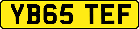 YB65TEF