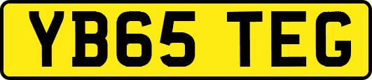 YB65TEG