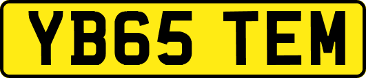 YB65TEM