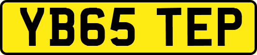 YB65TEP