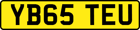 YB65TEU