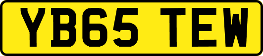 YB65TEW