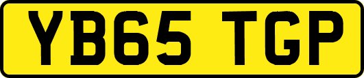 YB65TGP