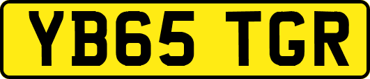 YB65TGR