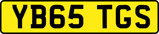 YB65TGS