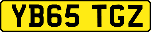 YB65TGZ